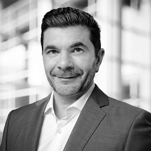 Founder & Principal Consultant, DP Dynamic Solutions